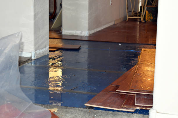 Professional Water Damage Restoration technician working in Mineola, NY
